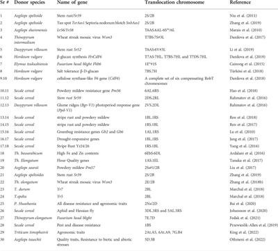 Domestication of newly evolved hexaploid wheat—A journey of wild grass to cultivated wheat